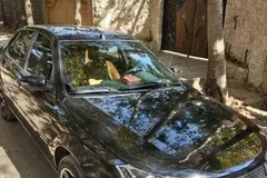 دنا، معمولی