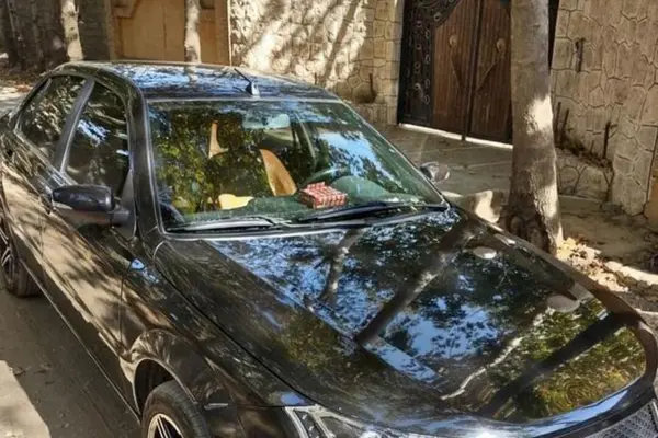 دنا، معمولی