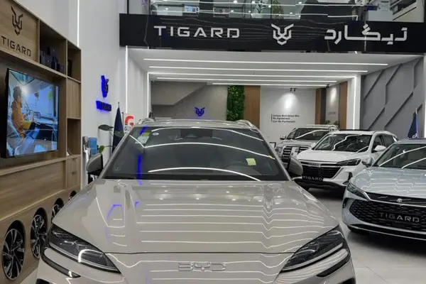 بی وای دی، سانگ پلاس DMi