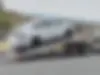 لاماری  اکو