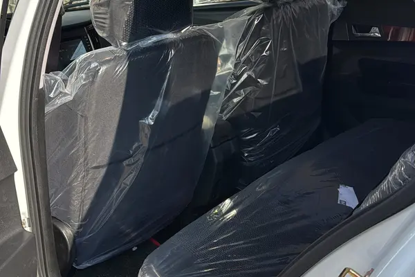 دنا، پلاس EF7P