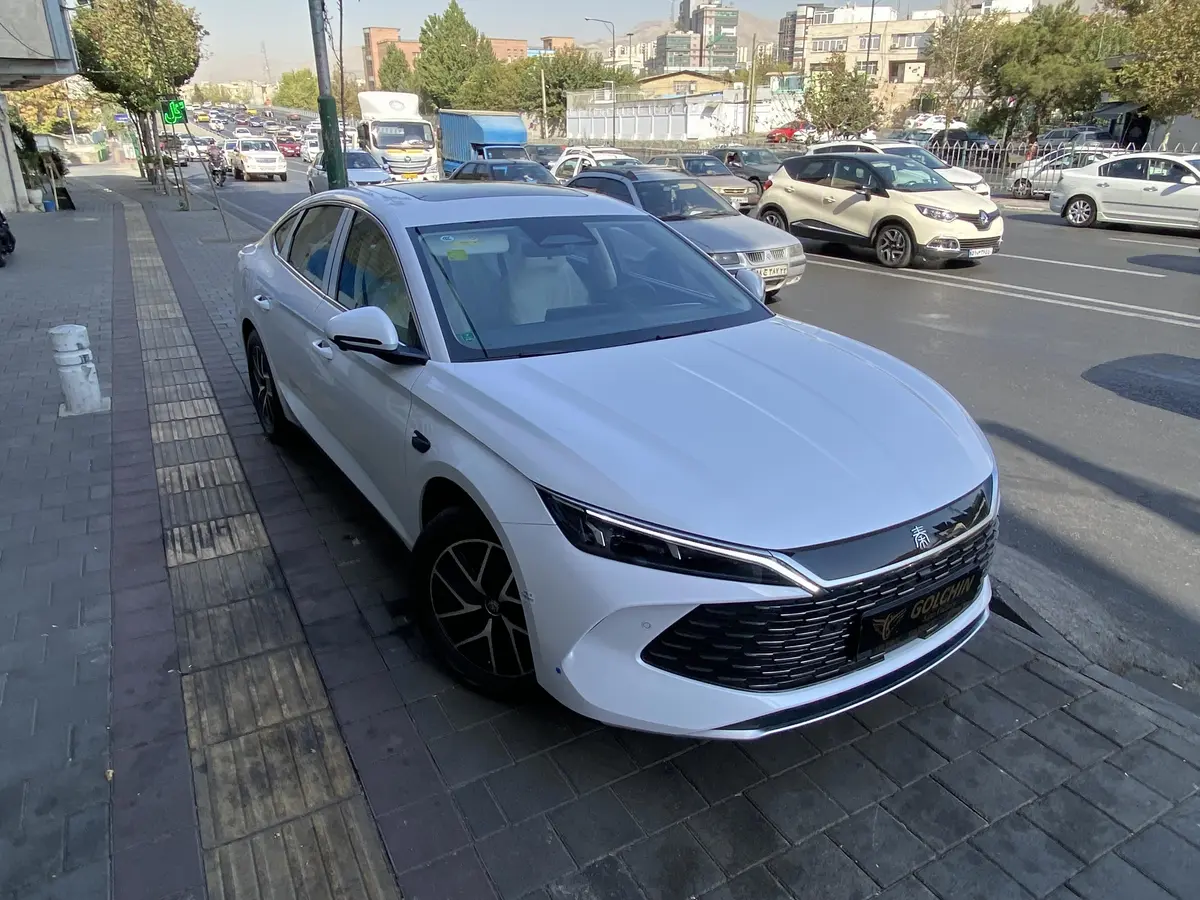 بی وای دی،  چین ال DMi