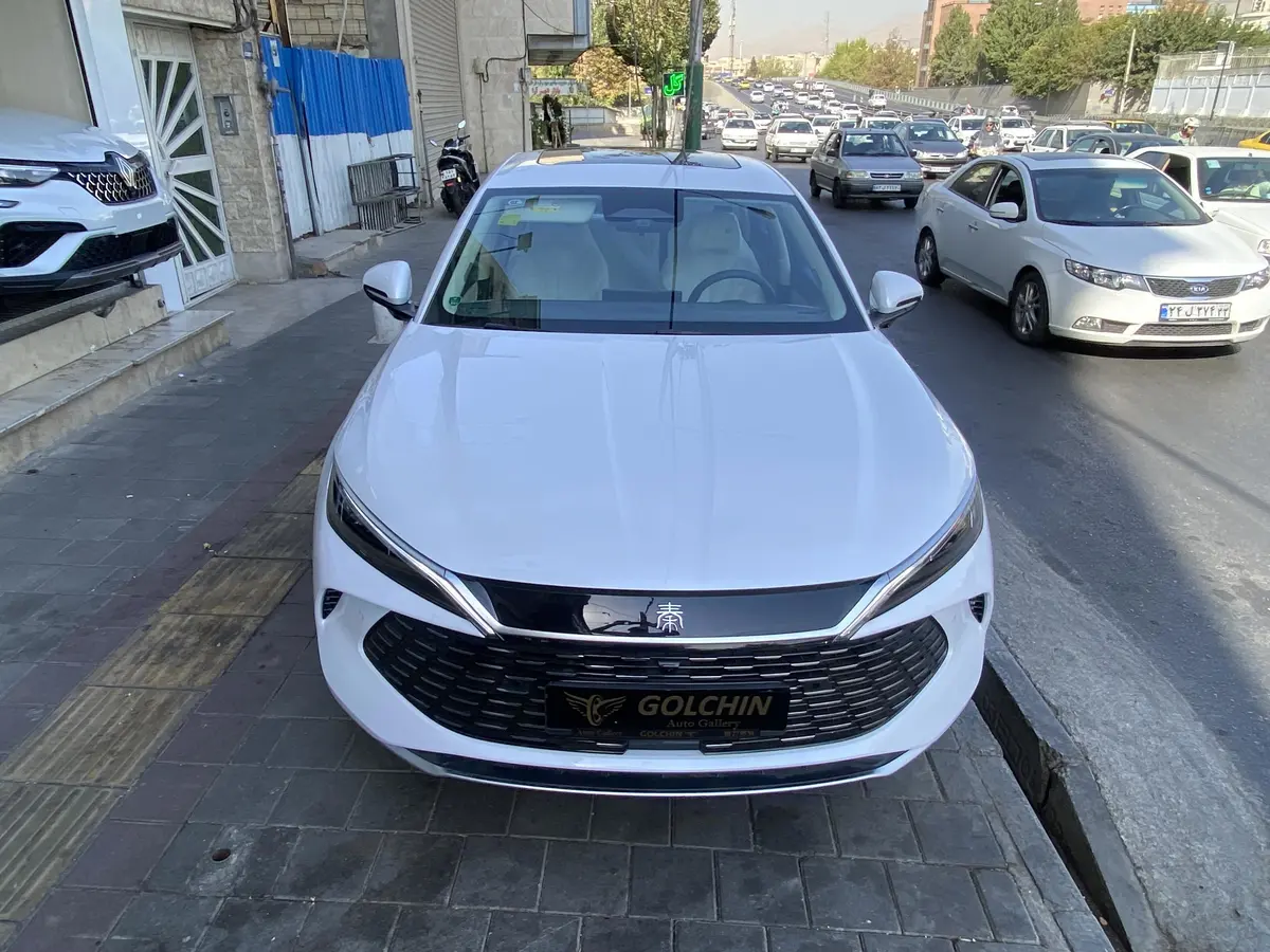 بی وای دی،  چین ال DMi