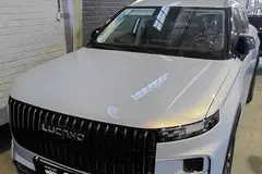 لوکانو، L7