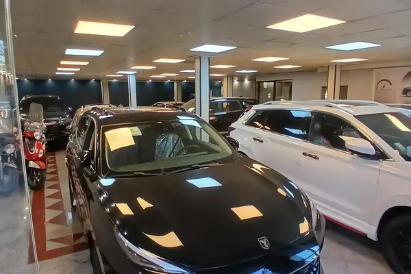 لاماری، ایما