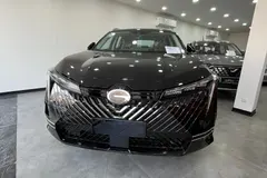 جی ای سی، امکو