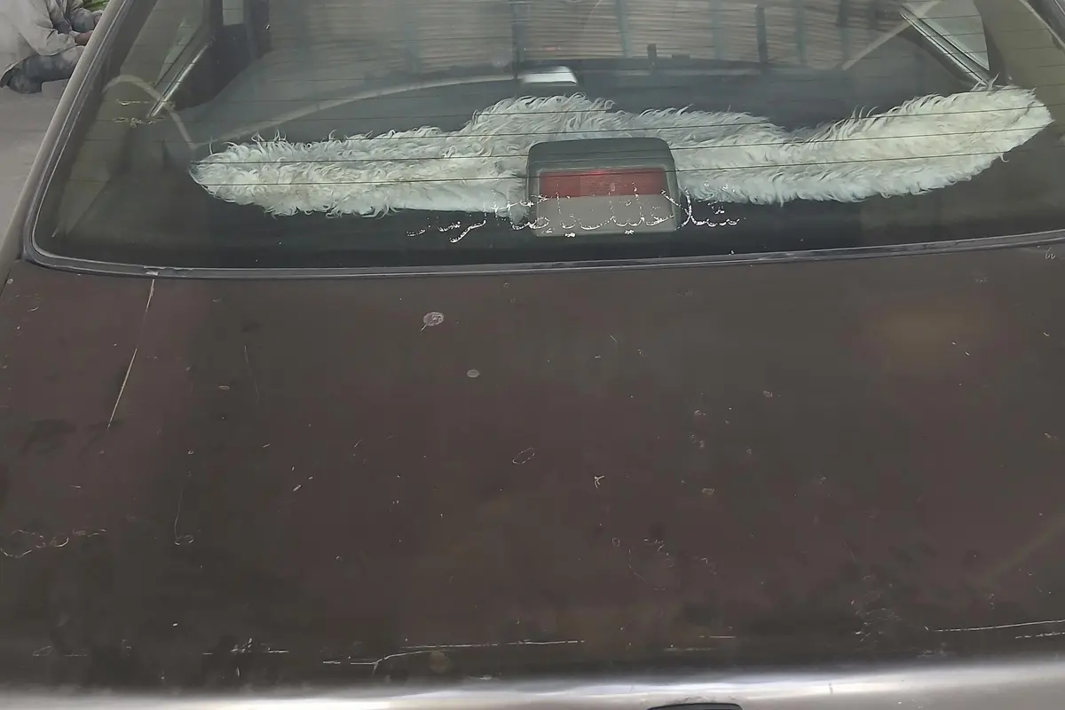 پژو،  روآ
