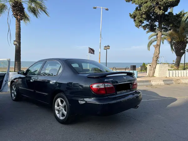 نیسان، ماکسیما