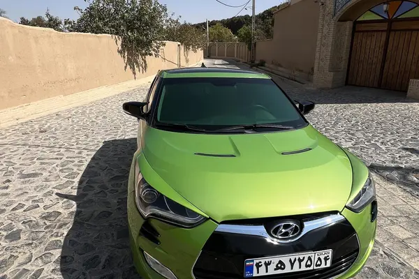 هیوندای، ولستر