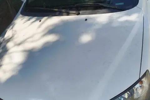 جیلی، امگرند 7