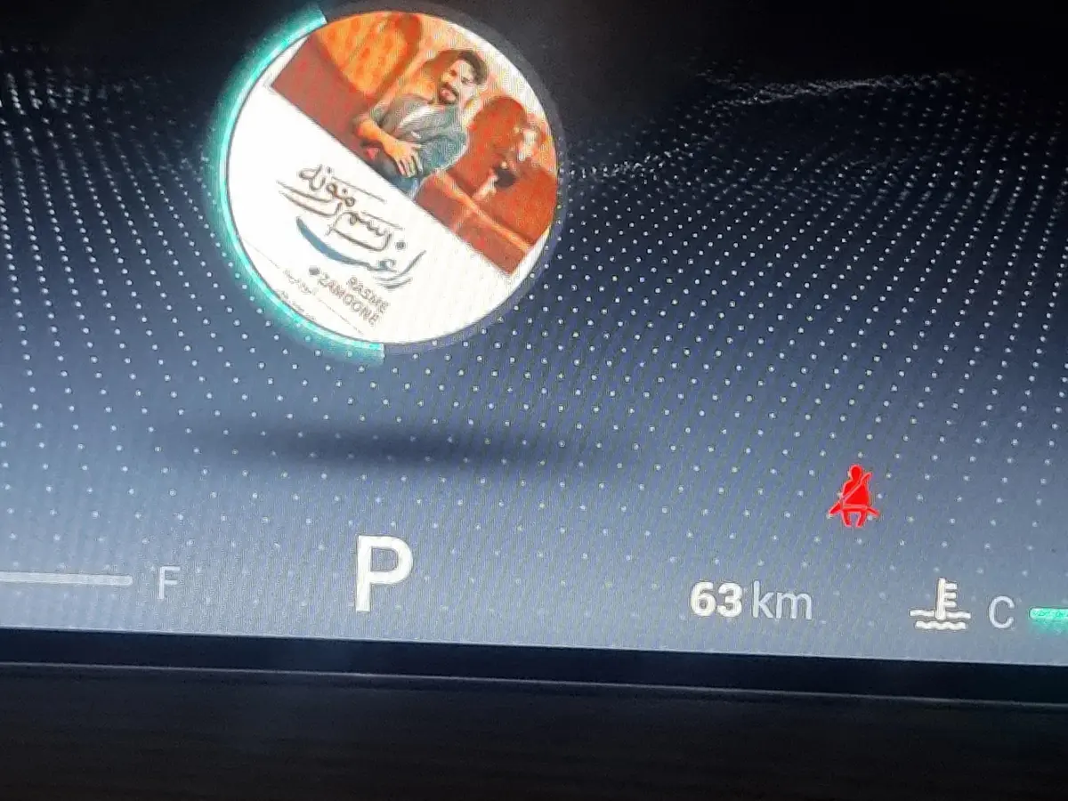 فونیکس،  تیگو 8 پرو مکس (F8)