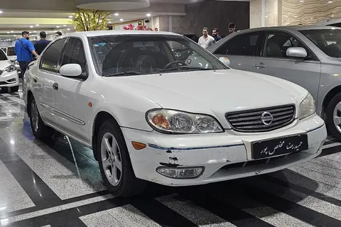 نیسان، ماکسیما
