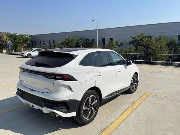 لاماری، ایما HEV