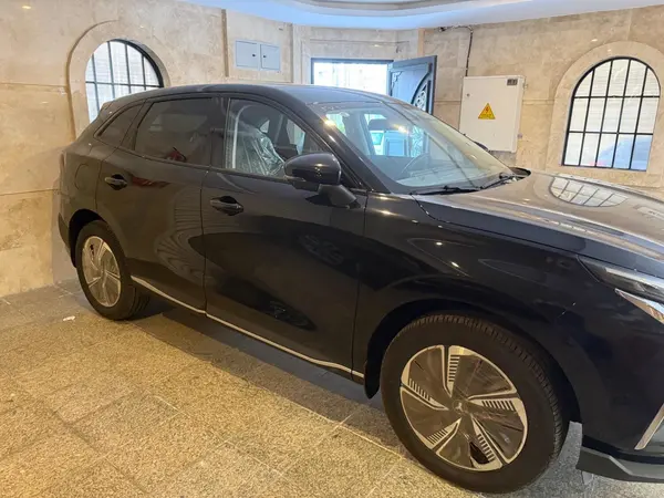 لاماری، ایما HEV