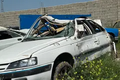 پژو، پارس