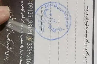 چری  آریزو 5T