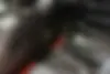 رنو،  تالیسمان