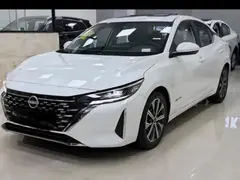 نیسان، سیلفی e-POWER