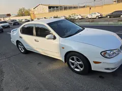 نیسان، ماکسیما