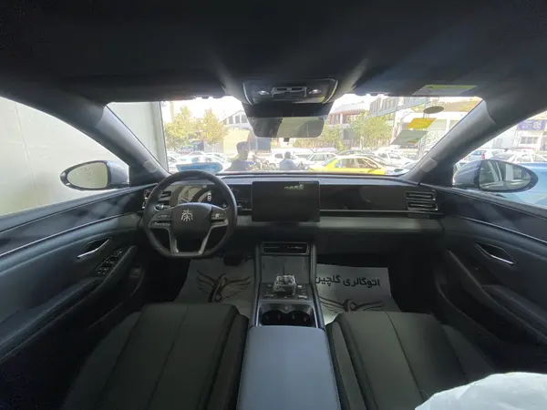 بی وای دی، چین L