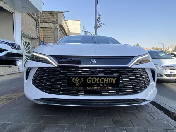 بی وای دی، چین L