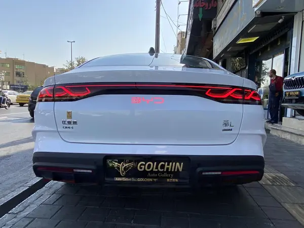 بی وای دی، چین L