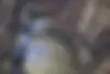 فونیکس  FX