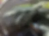 کیا،  کادنزا
