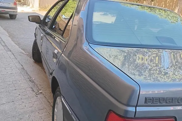 پژو  405