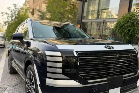 هیوندای، پالیسید