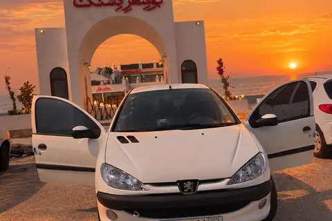 پژو، 206