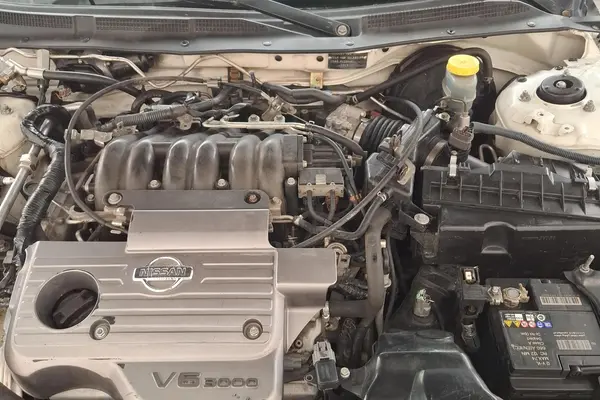 نیسان، ماکسیما