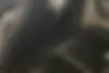 کیا،  سراتو (مونتاژ)