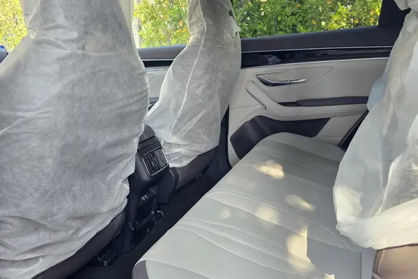 بی وای دی، سانگ پلاس DMi