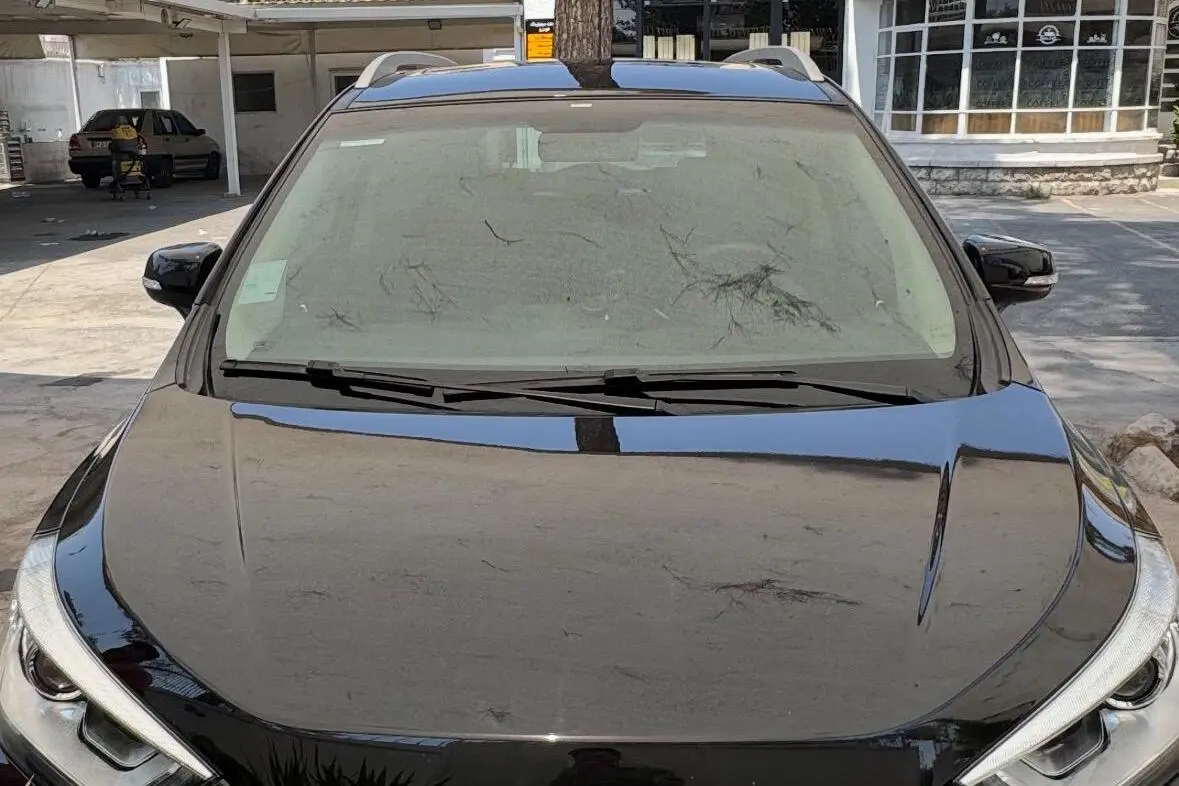 جک،  S3
