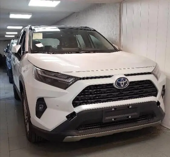 تویوتا، راوفور