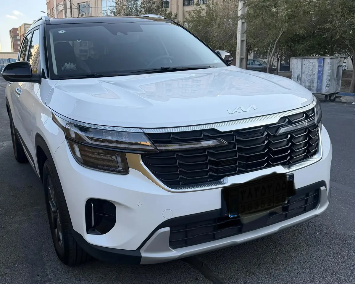 کیا،  سلتوس