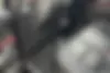 فونیکس  تیگو 7 پرو