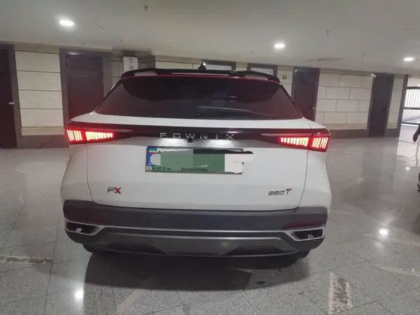 فونیکس  FX