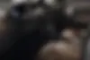 ام وی ام،  X33 S