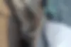 سمند،  LX