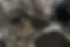جک،  جی 4