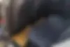 فونیکس  تیگو 7 پرو