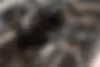 کیا  سراتو (مونتاژ)