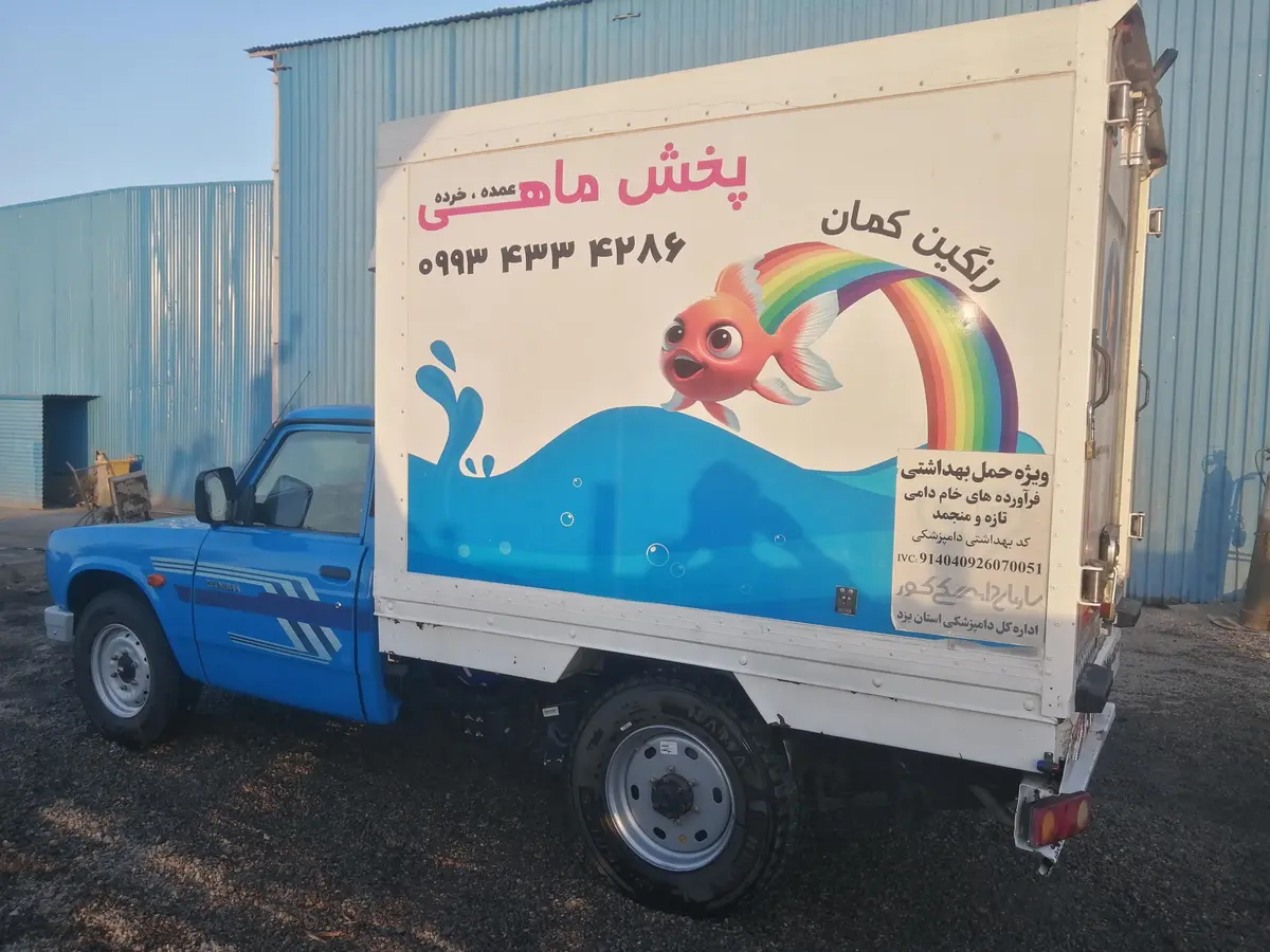 زامیاد،  اکستند EX
