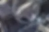 جک  جی 4