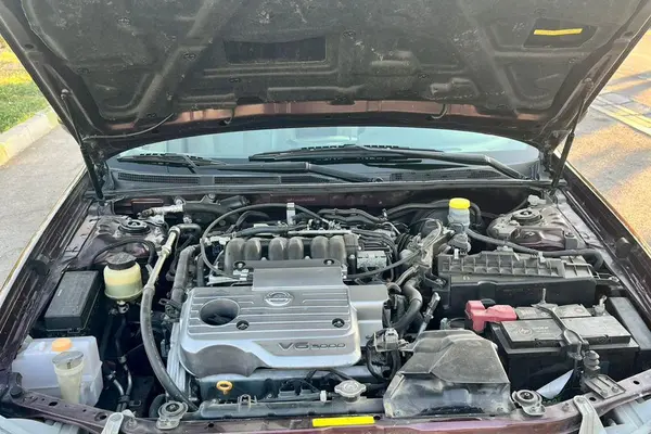 نیسان، ماکسیما