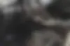 لکسوس  NX