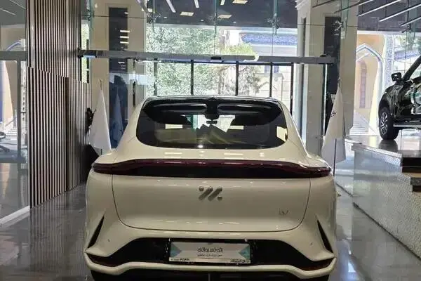 آی ام موتورز،  LS7
