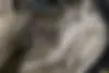لکسوس،  RX